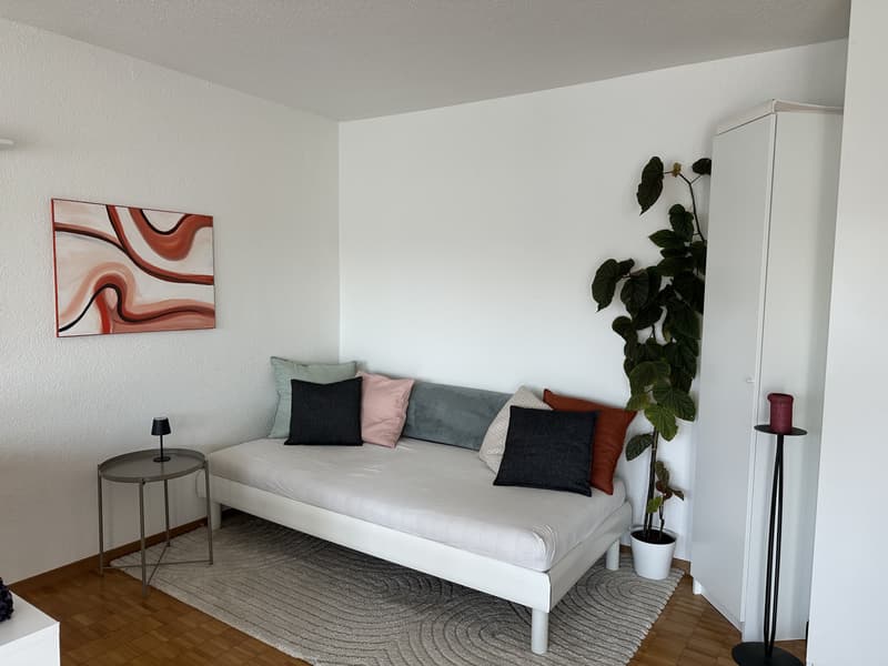 2½ ZI-WOHNUNG IN FÄLLANDEN (ZH), MÖBLIERT, TEMPORÄR (8)