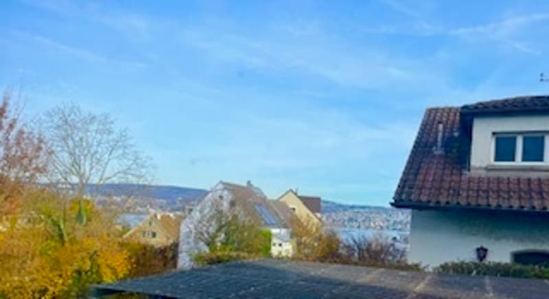5 ZIMMER-HAUS IN ZÜRICH - KREIS 2 WOLLISHOFEN, MÖBLIERT, TEMPORÄR (3)