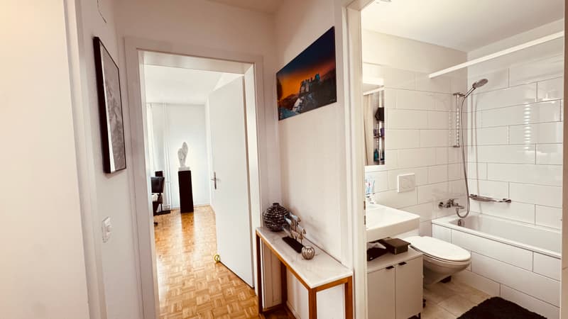 3½ ZI-WOHNUNG IN ZÜRICH - KREIS 10 WIPKINGEN, MÖBLIERT, TEMPORÄR (3)