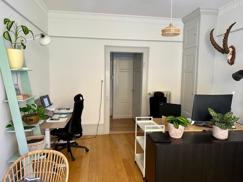 3 ZI-WOHNUNG IN BERN - ALTSTADT, MÖBLIERT, TEMPORÄR (5)