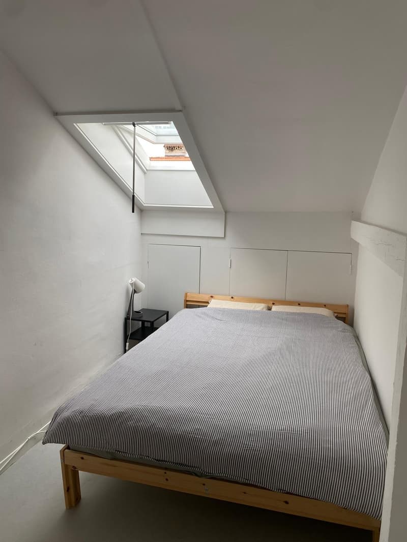 3 ZI-WOHNUNG IN BERN - ALTSTADT, MÖBLIERT, TEMPORÄR (6)