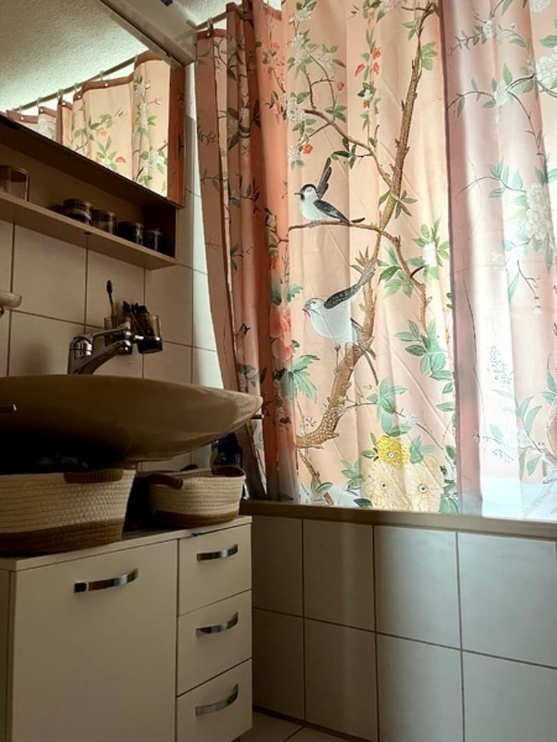 3½ ZI-WOHNUNG IN WÄDENSWIL (ZH), MÖBLIERT, TEMPORÄR (6)