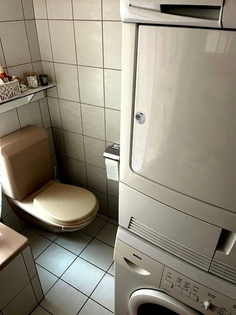 3½ ZI-WOHNUNG IN WÄDENSWIL (ZH), MÖBLIERT, TEMPORÄR (10)