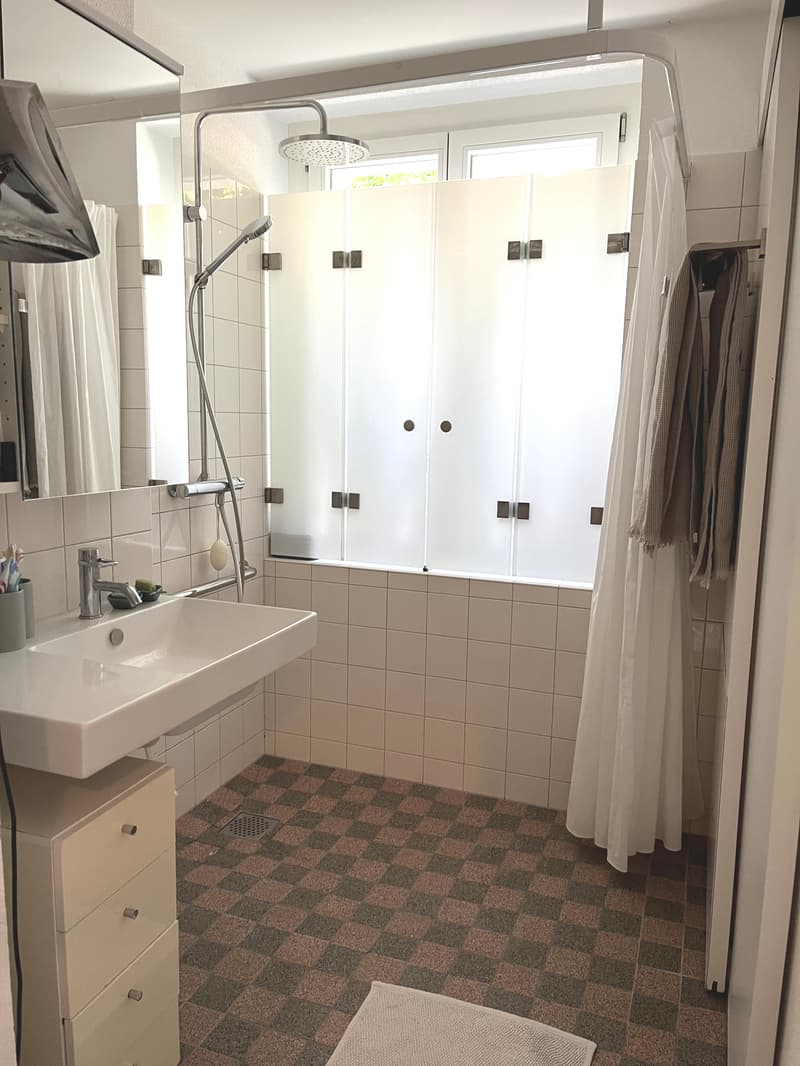 4 ZI-WOHNUNG IN BERN - BERN-FELSENAU, MÖBLIERT, TEMPORÄR (8)