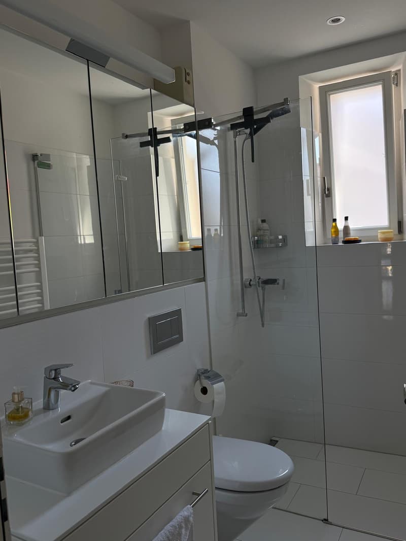 2 ZI-WOHNUNG IN ZÜRICH - KREIS 8 SEEFELD/MÜHLEBACH, MÖBLIERT, TEMPORÄR (8)