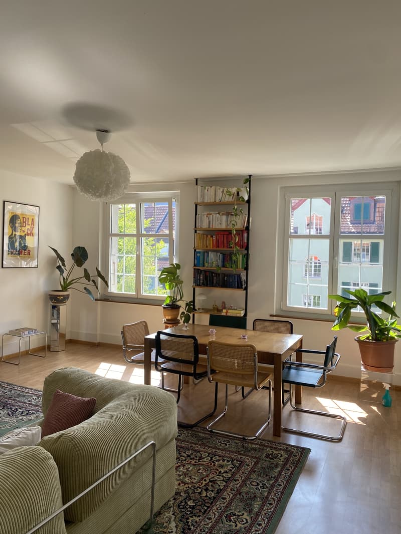 2½ ZI-WOHNUNG IN BERN, MÖBLIERT, TEMPORÄR (1)
