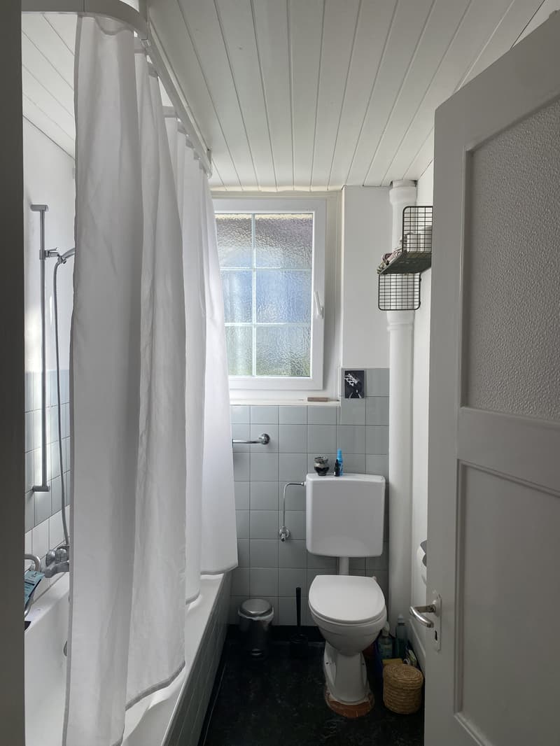 2½ ZI-WOHNUNG IN BERN, MÖBLIERT, TEMPORÄR (7)