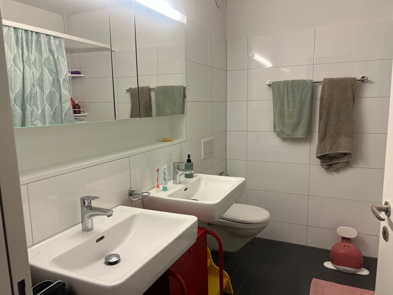 4½ ZI-WOHNUNG IN WINTERTHUR - WÜLFLINGEN, MÖBLIERT, TEMPORÄR (8)