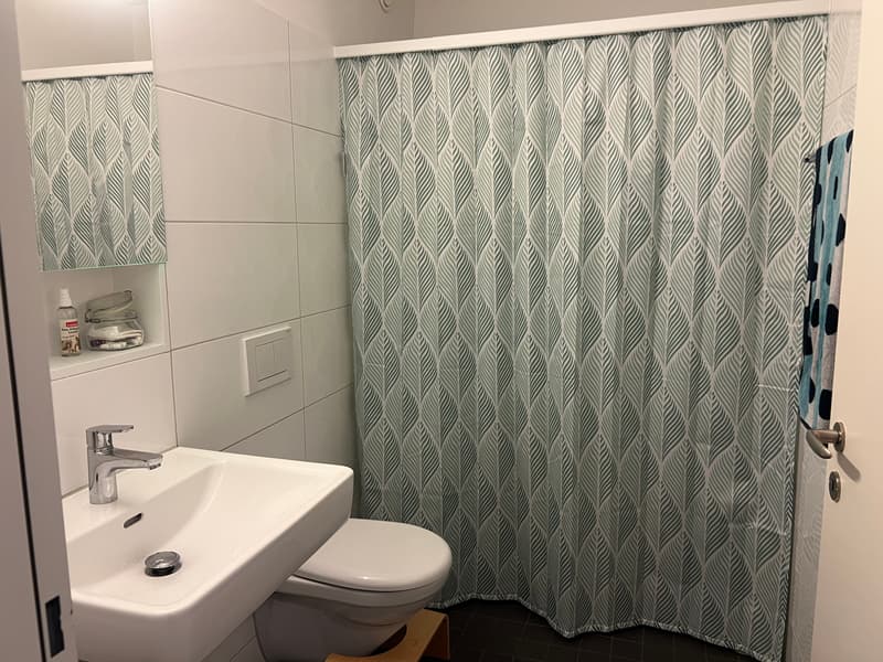 4½ ZI-WOHNUNG IN WINTERTHUR - WÜLFLINGEN, MÖBLIERT, TEMPORÄR (7)