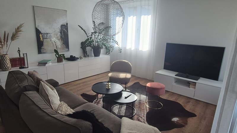 2½ ZI-WOHNUNG IN SEENGEN (AG), MÖBLIERT, TEMPORÄR (1)