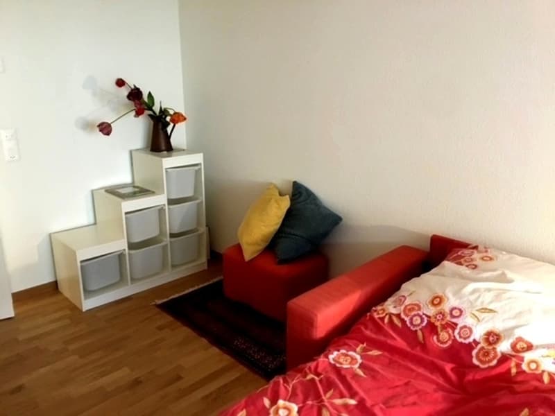 4½ ZI-WOHNUNG IN SCHINDELLEGI (SZ), MÖBLIERT (5)