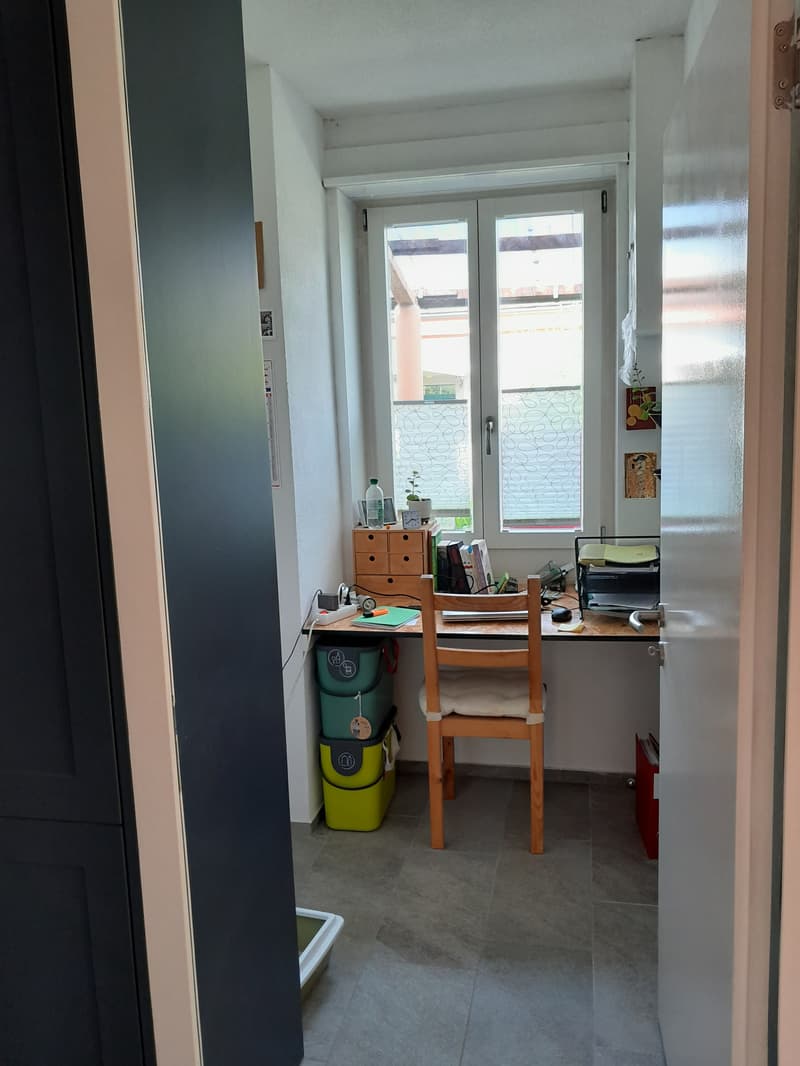 4 ZIMMER-HAUS IN WINTERTHUR - TÖSS, MÖBLIERT, TEMPORÄR (2)