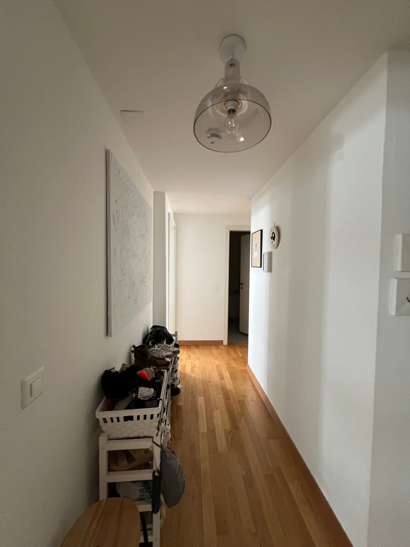 2 ZI-WOHNUNG IN ZÜRICH - KREIS 3 WIEDIKON, MÖBLIERT, TEMPORÄR (4)