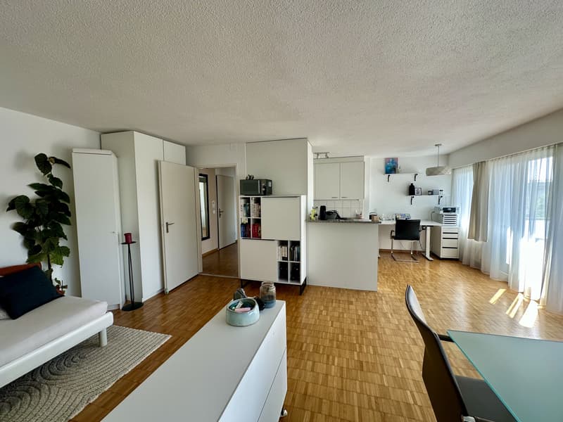 2½ ZI-WOHNUNG IN FÄLLANDEN (ZH), MÖBLIERT, TEMPORÄR (6)