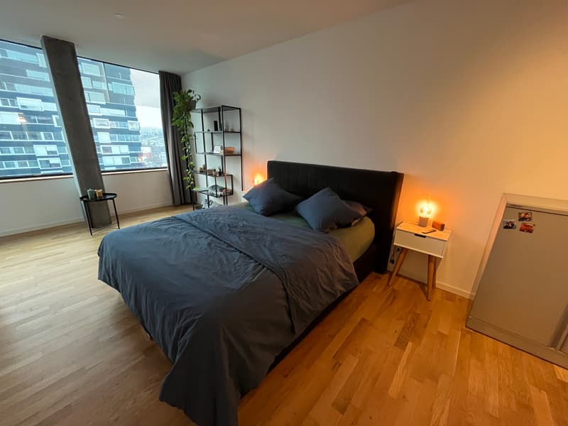 3½ ZI-WOHNUNG IN ZÜRICH - KREIS 5 ESCHER WYSS, MÖBLIERT, TEMPORÄR (6)
