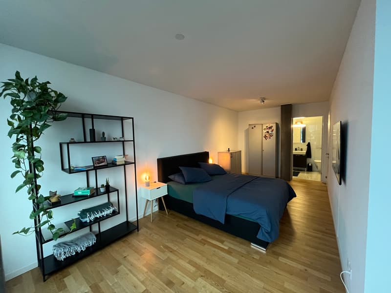 3½ ZI-WOHNUNG IN ZÜRICH - KREIS 5 ESCHER WYSS, MÖBLIERT, TEMPORÄR (5)