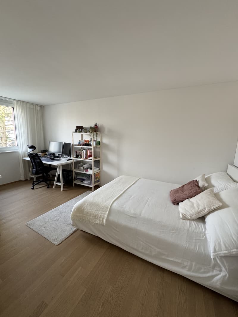 2½ ZI-WOHNUNG IN LUZERN, MÖBLIERT, TEMPORÄR (4)