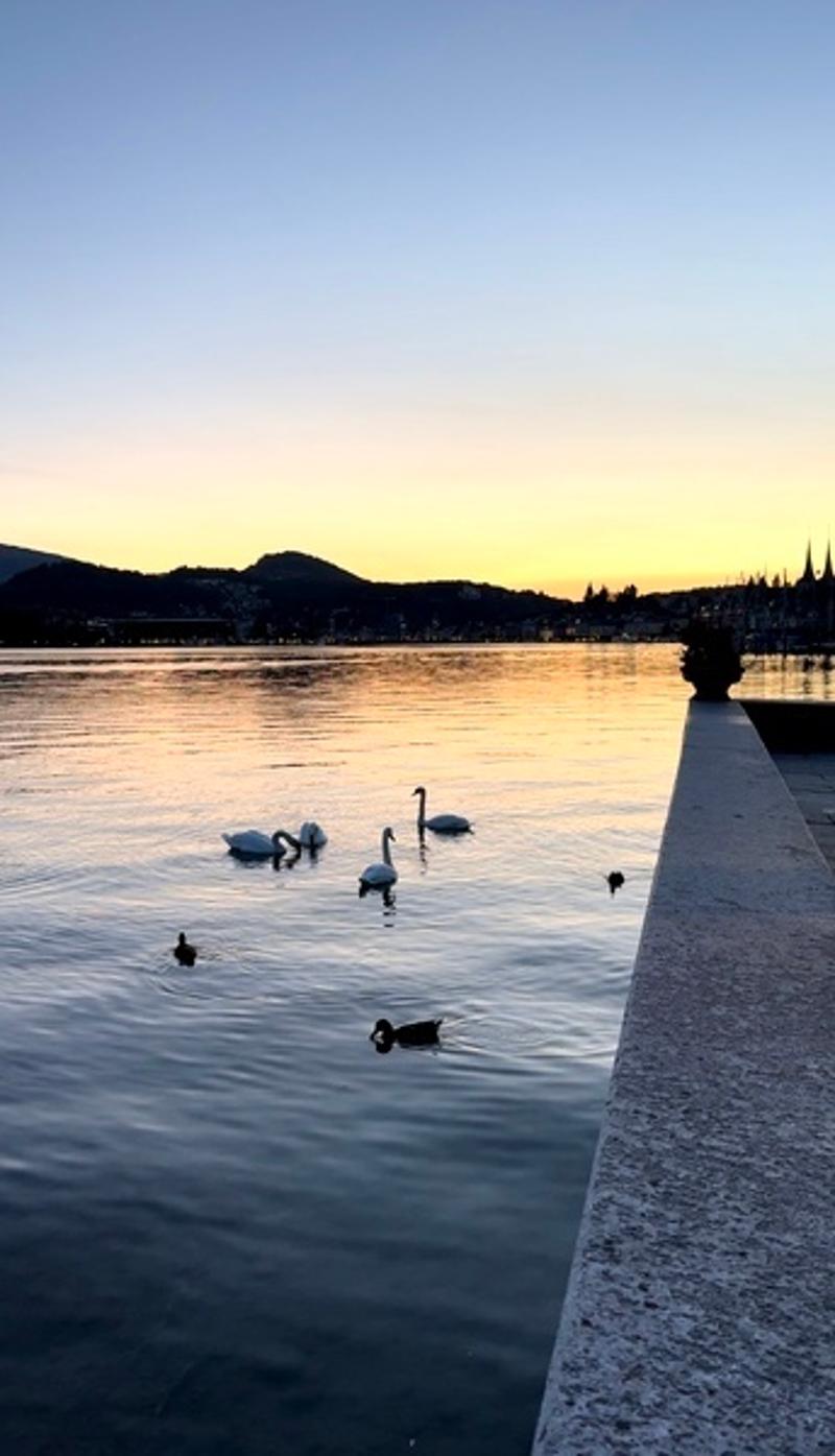 2½ ZI-WOHNUNG IN LUZERN, MÖBLIERT, TEMPORÄR (8)