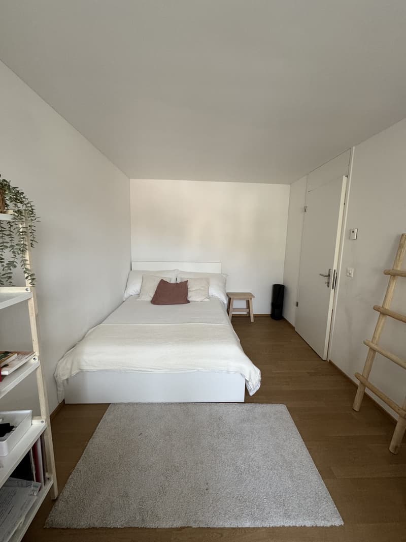 2½ ZI-WOHNUNG IN LUZERN, MÖBLIERT, TEMPORÄR (5)