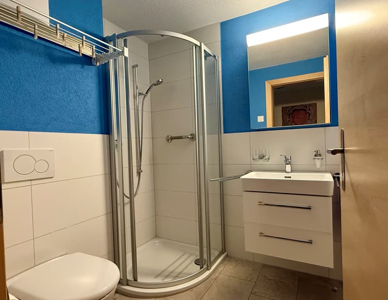 2½ ZI-WOHNUNG IN KANDERSTEG (BE), MÖBLIERT, TEMPORÄR (5)