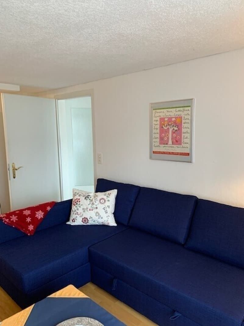 2½ ZI-WOHNUNG IN GWATT (THUN), MÖBLIERT, TEMPORÄR (3)