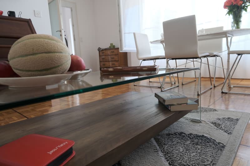 3 ZI-WOHNUNG IN ALDESAGO (TI), MÖBLIERT, TEMPORÄR (2)