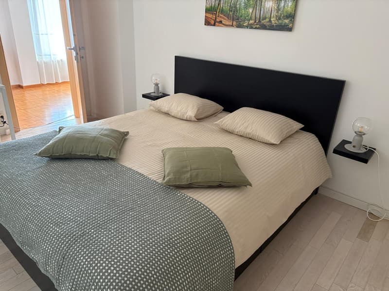 3 ZI-WOHNUNG IN ALDESAGO (TI), MÖBLIERT, TEMPORÄR (6)