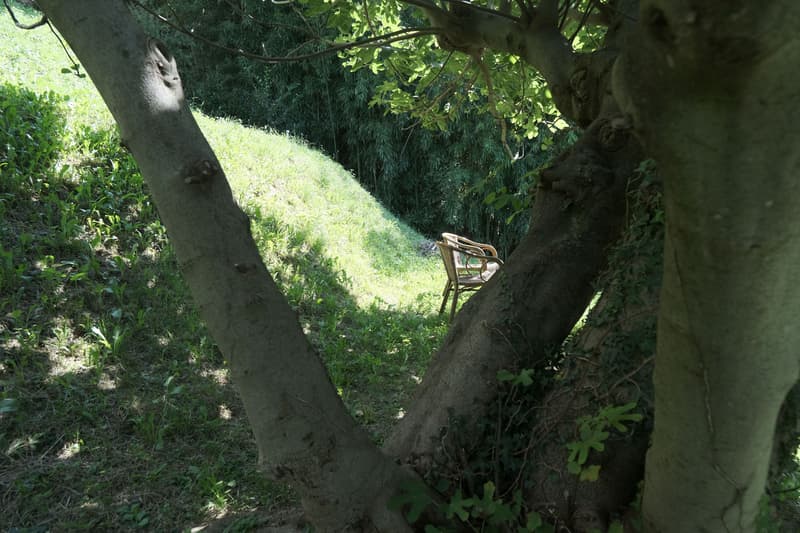 3 ZI-WOHNUNG IN ALDESAGO (TI), MÖBLIERT, TEMPORÄR (10)