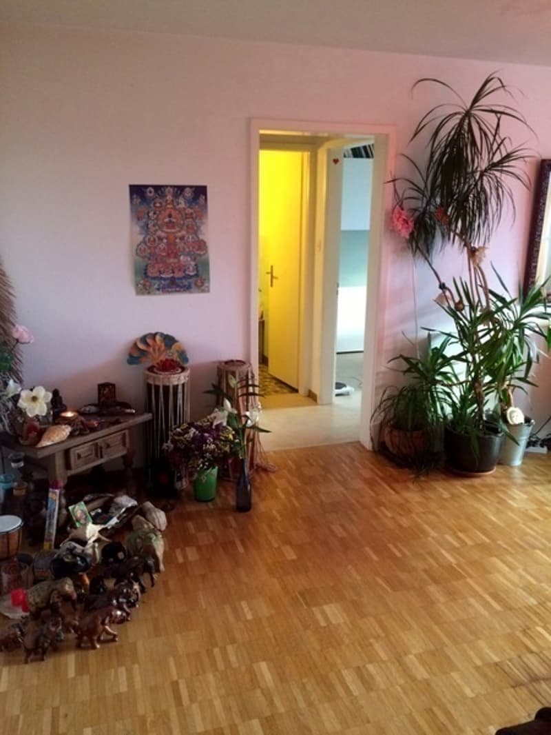 2½ ZI-WOHNUNG IN ZÜRICH - KREIS 3, MÖBLIERT, TEMPORÄR (4)
