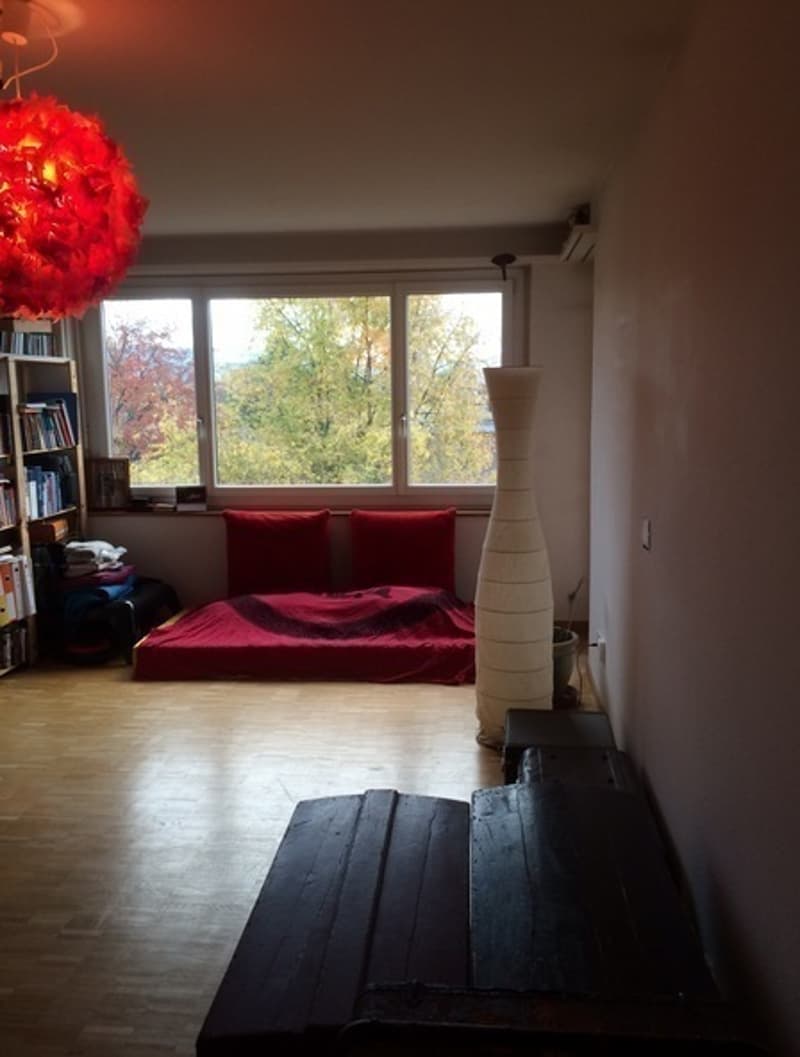2½ ZI-WOHNUNG IN ZÜRICH - KREIS 3, MÖBLIERT, TEMPORÄR (2)