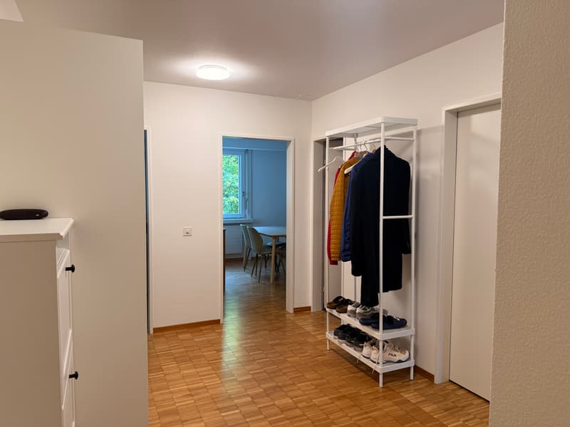 2½ ZI-WOHNUNG IN ZÜRICH - KREIS 3 FRIESENBERG, MÖBLIERT, TEMPORÄR (6)