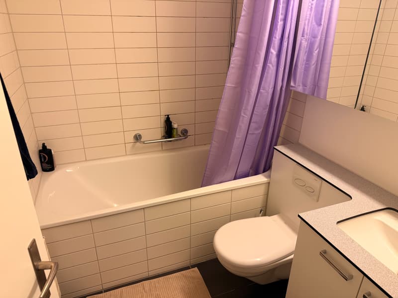 2½ ZI-WOHNUNG IN ZÜRICH - KREIS 3 FRIESENBERG, MÖBLIERT, TEMPORÄR (7)