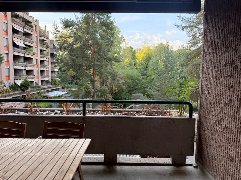 2½ ZI-WOHNUNG IN ZÜRICH - KREIS 3 FRIESENBERG, MÖBLIERT, TEMPORÄR (9)