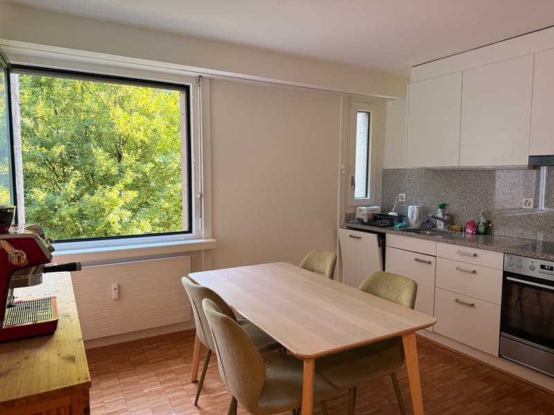 2½ ZI-WOHNUNG IN ZÜRICH - KREIS 3 FRIESENBERG, MÖBLIERT, TEMPORÄR (3)
