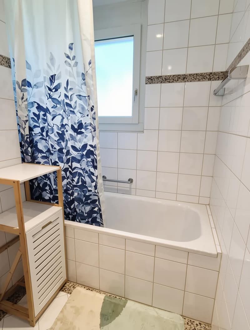 2½ ZI-WOHNUNG IN RÜSCHLIKON (ZH), MÖBLIERT, TEMPORÄR (7)
