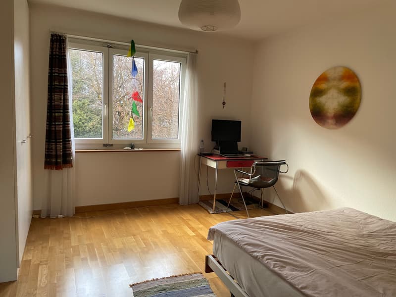 2 ZI-WOHNUNG IN ZÜRICH - KREIS 4, MÖBLIERT, TEMPORÄR (4)