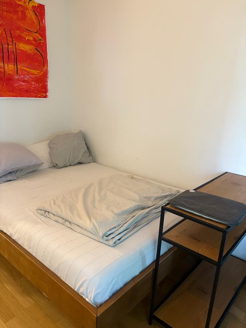 1 ZI-WOHNUNG IN ZÜRICH - KREIS 8, MÖBLIERT, TEMPORÄR (3)