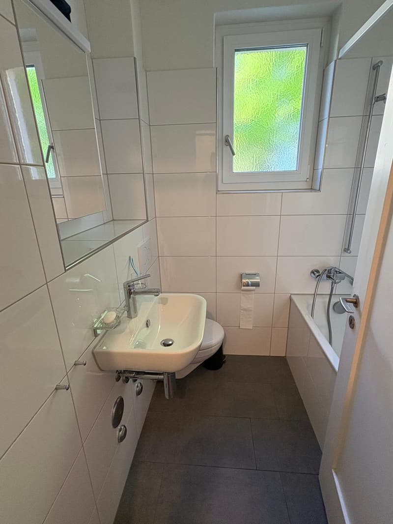 1 ZI-WOHNUNG IN ZÜRICH - KREIS 8, MÖBLIERT, TEMPORÄR (5)