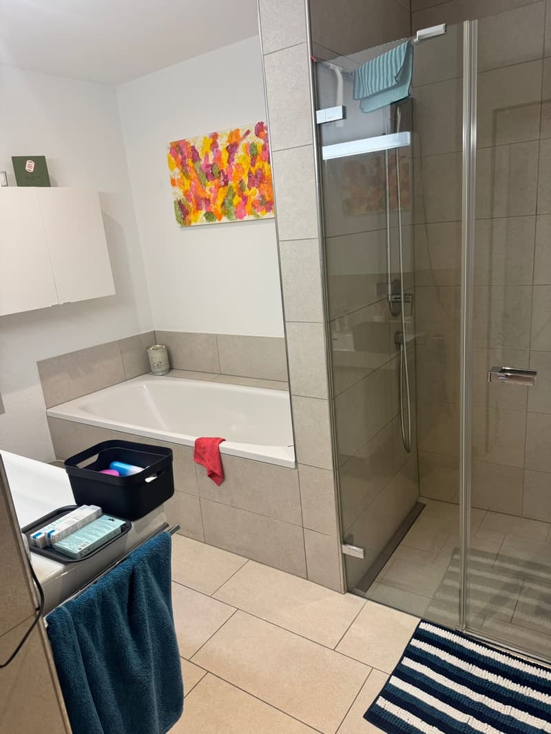 3½ ZI-WOHNUNG IN KLOTEN (ZH), MÖBLIERT, TEMPORÄR (6)
