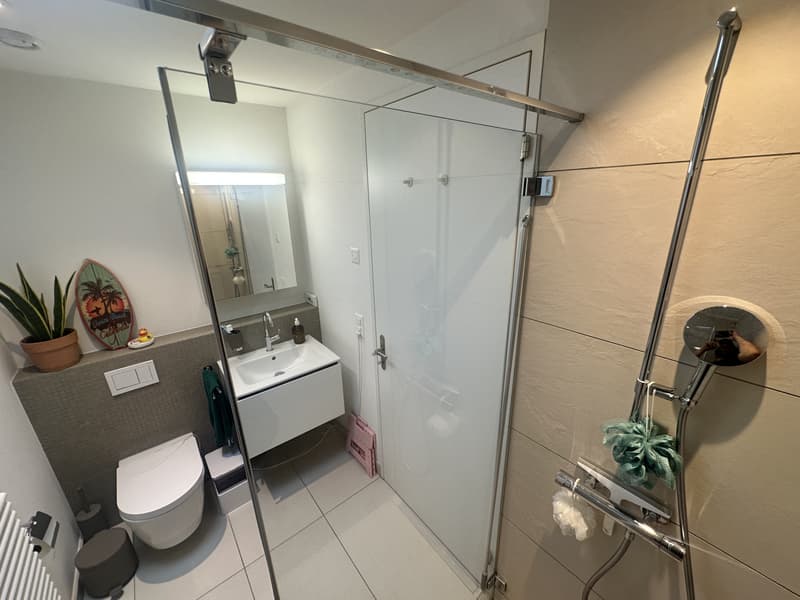 3½ ZIMMER-ATTIKAWOHNUNG IN ZÜRICH - KREIS 10 HÖNGG, MÖBLIERT, TEMPORÄR (8)