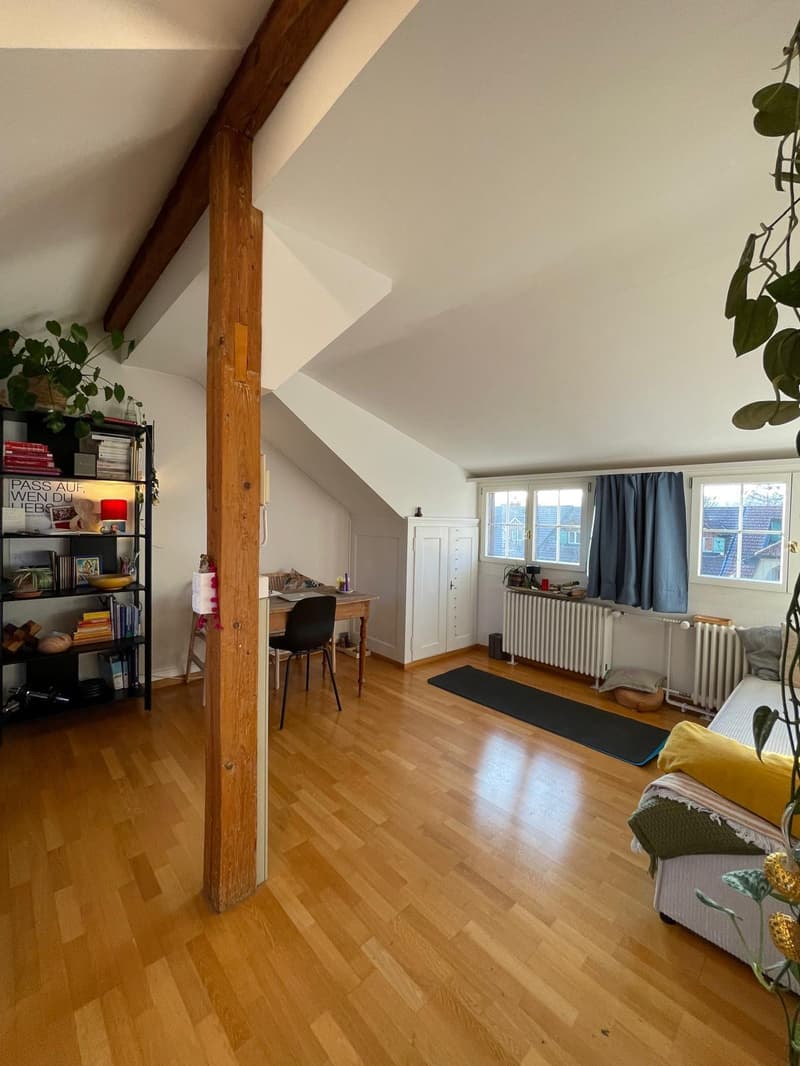 2½ ZIMMER-DACHWOHNUNG IN BERN - KIRCHENFELD, MÖBLIERT, TEMPORÄR (4)