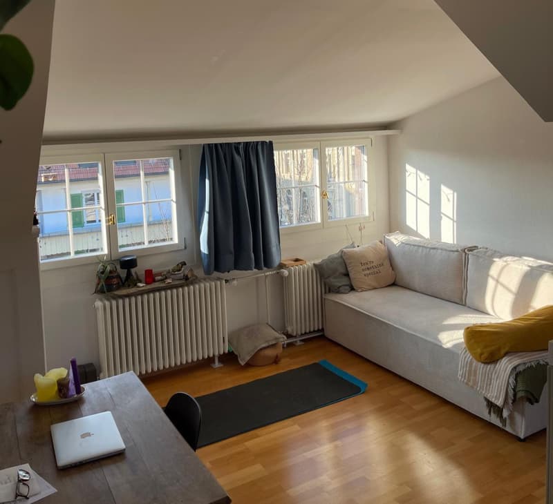 2½ ZIMMER-DACHWOHNUNG IN BERN - KIRCHENFELD, MÖBLIERT, TEMPORÄR (1)