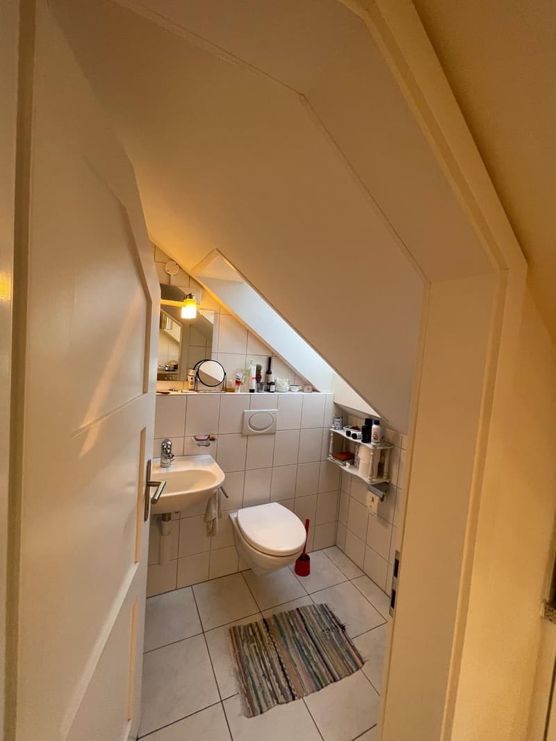 2½ ZIMMER-DACHWOHNUNG IN BERN - KIRCHENFELD, MÖBLIERT, TEMPORÄR (10)