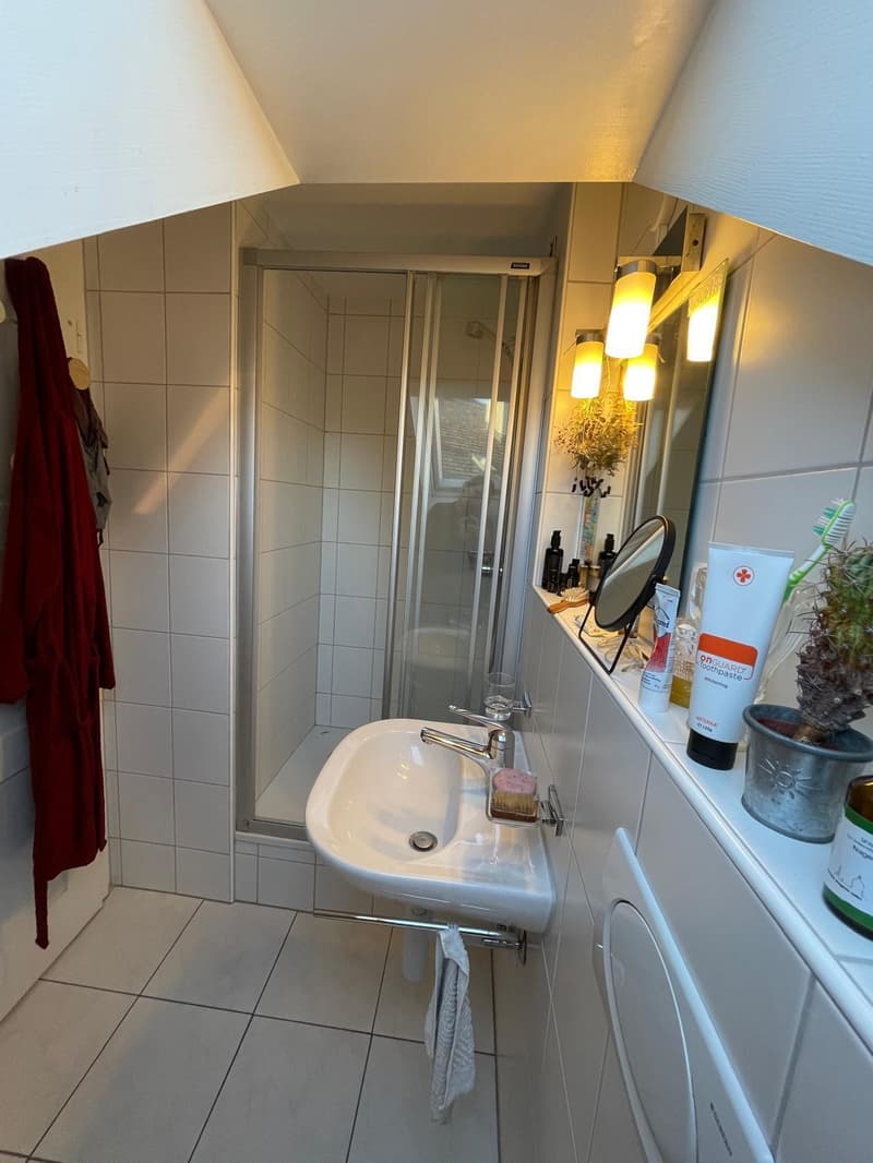 2½ ZIMMER-DACHWOHNUNG IN BERN - KIRCHENFELD, MÖBLIERT, TEMPORÄR (9)