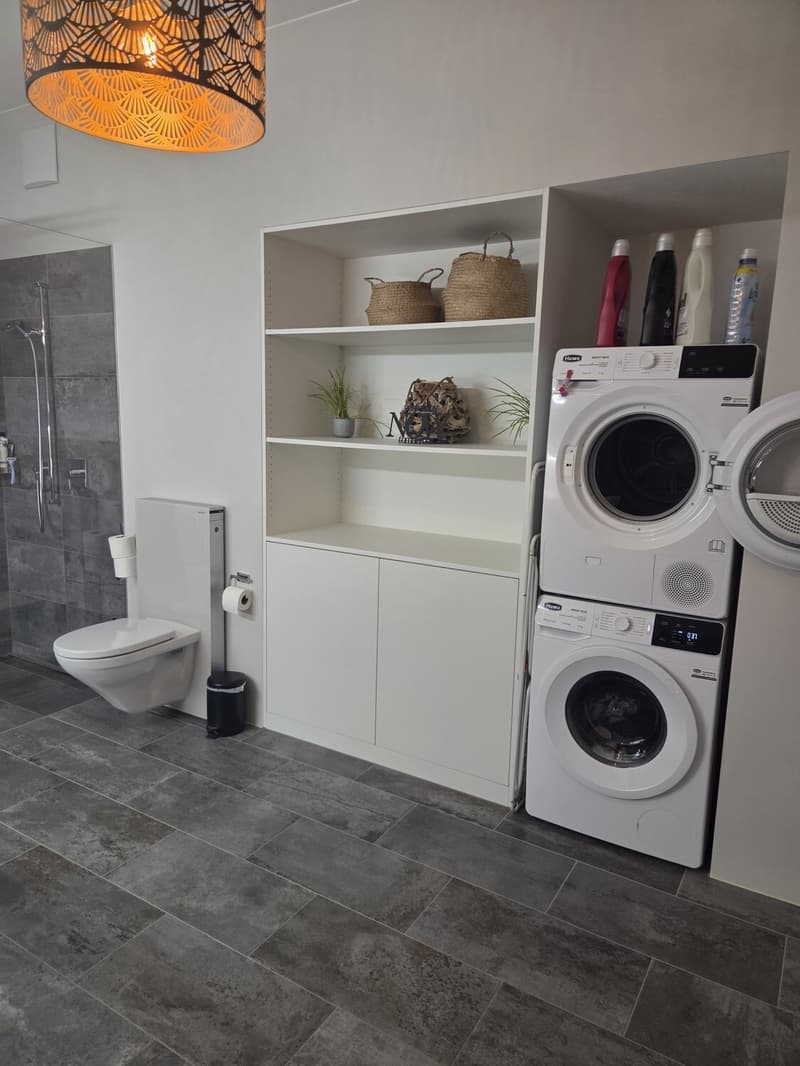 3½ ZI-WOHNUNG IN LENZBURG (AG), MÖBLIERT, TEMPORÄR (6)