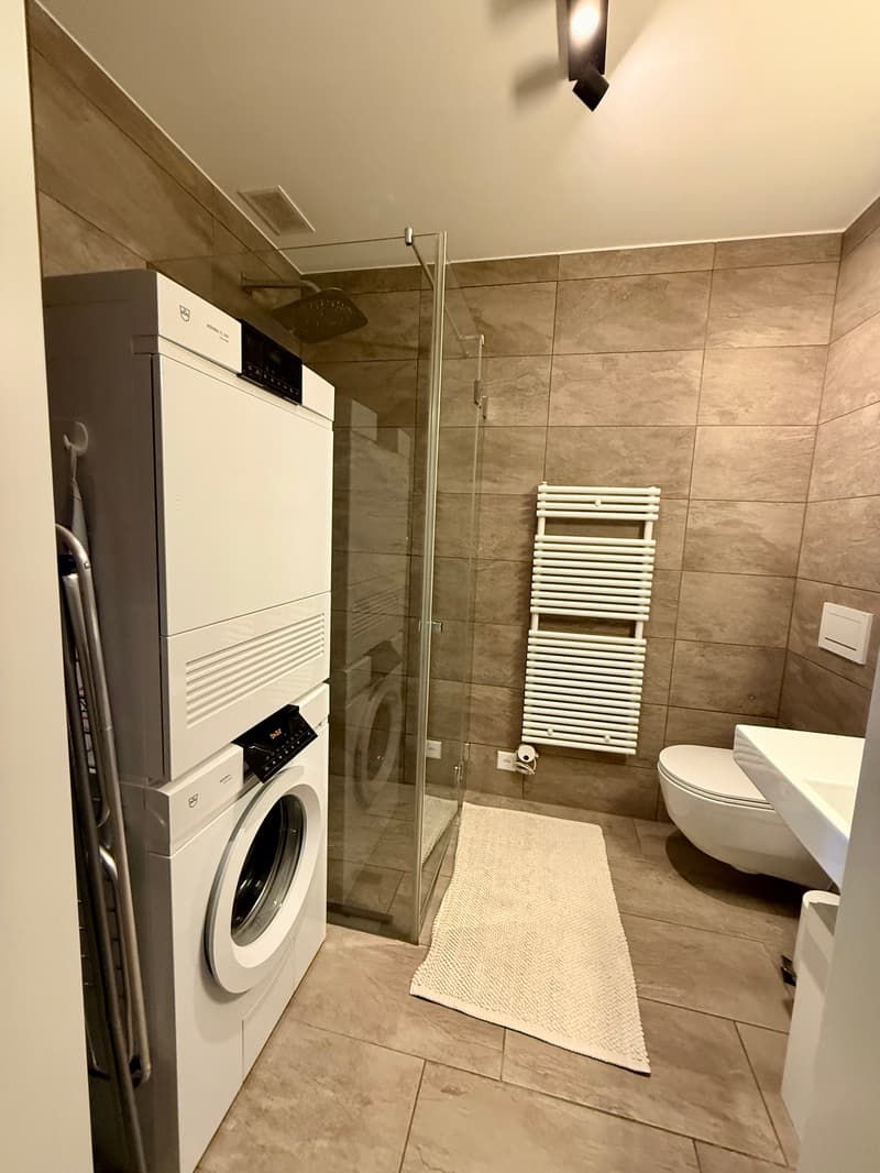 3½ ZI-WOHNUNG IN SURSEE (LU), MÖBLIERT, TEMPORÄR (6)