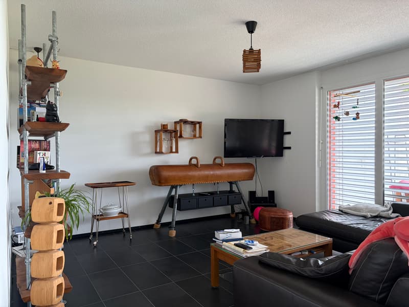 3½ ZI-WOHNUNG IN PERLEN (LU), MÖBLIERT, TEMPORÄR (2)