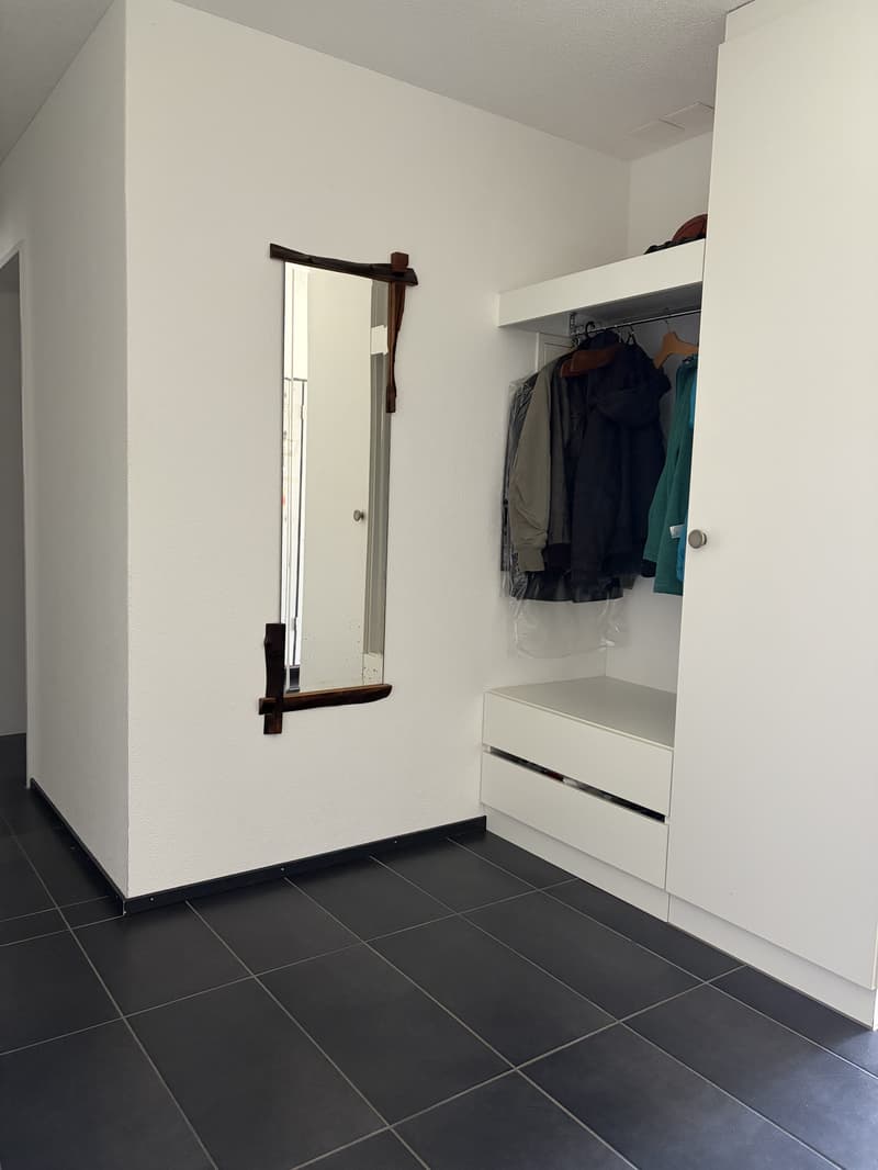 3½ ZI-WOHNUNG IN PERLEN (LU), MÖBLIERT, TEMPORÄR (9)