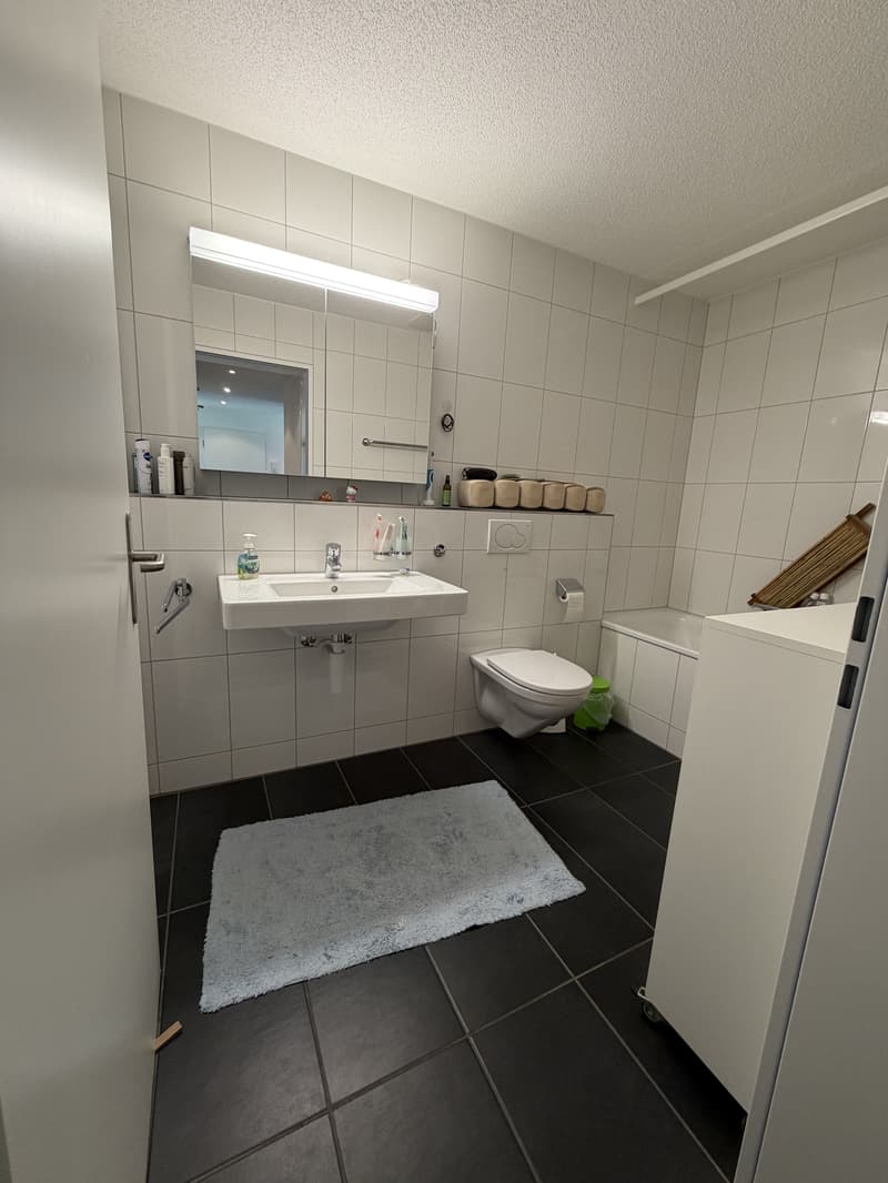 3½ ZI-WOHNUNG IN PERLEN (LU), MÖBLIERT, TEMPORÄR (7)