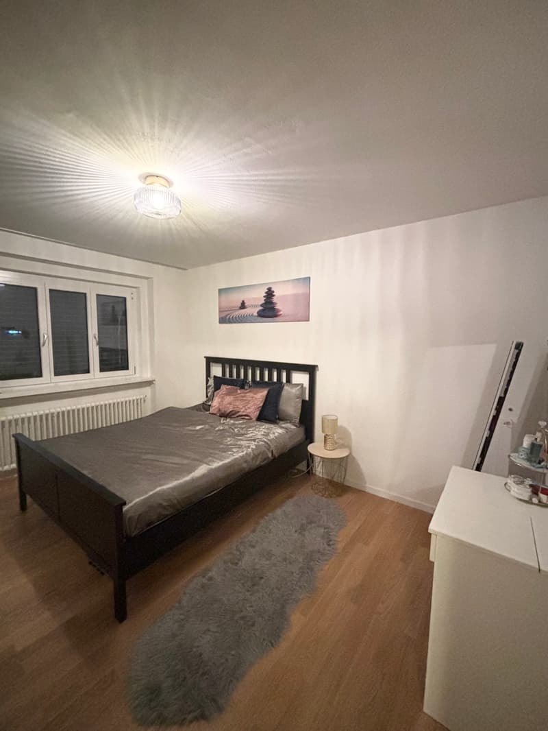 3 ZI-WOHNUNG IN ZÜRICH - KREIS 11 SEEBACH, MÖBLIERT, TEMPORÄR (3)